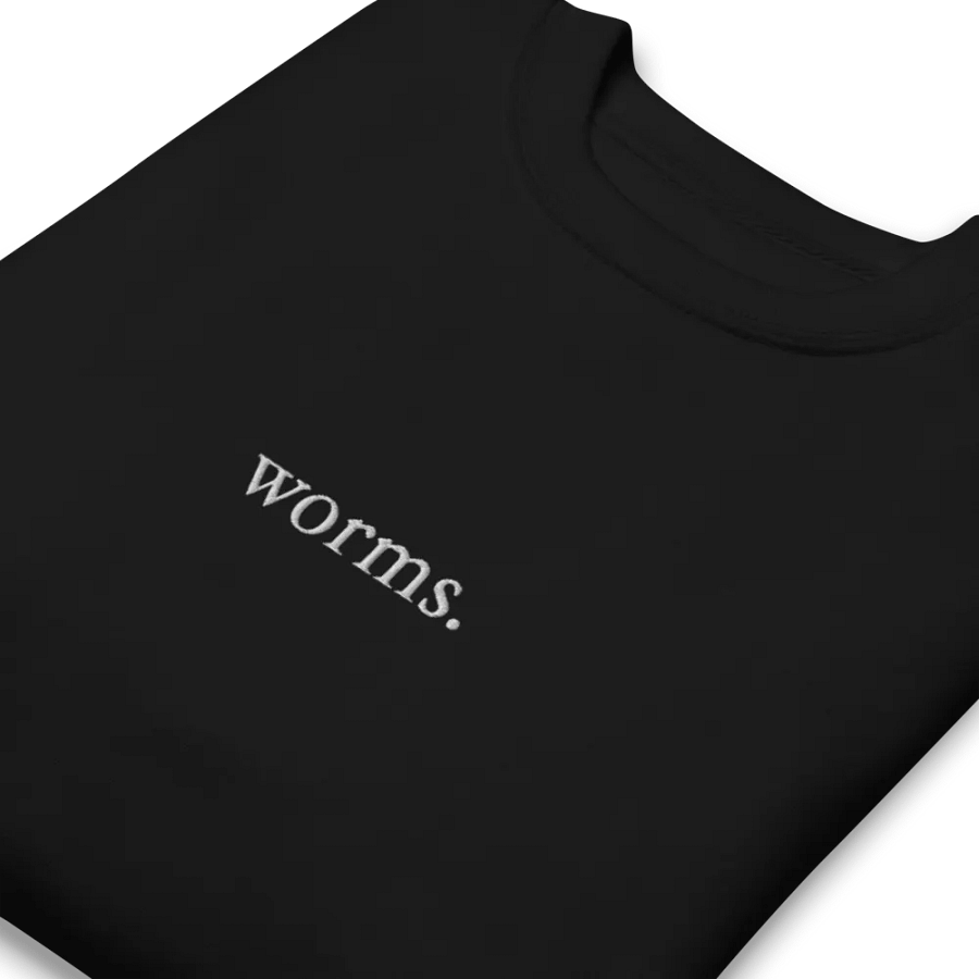 Embroided worms. Sweatshirt product image (3)