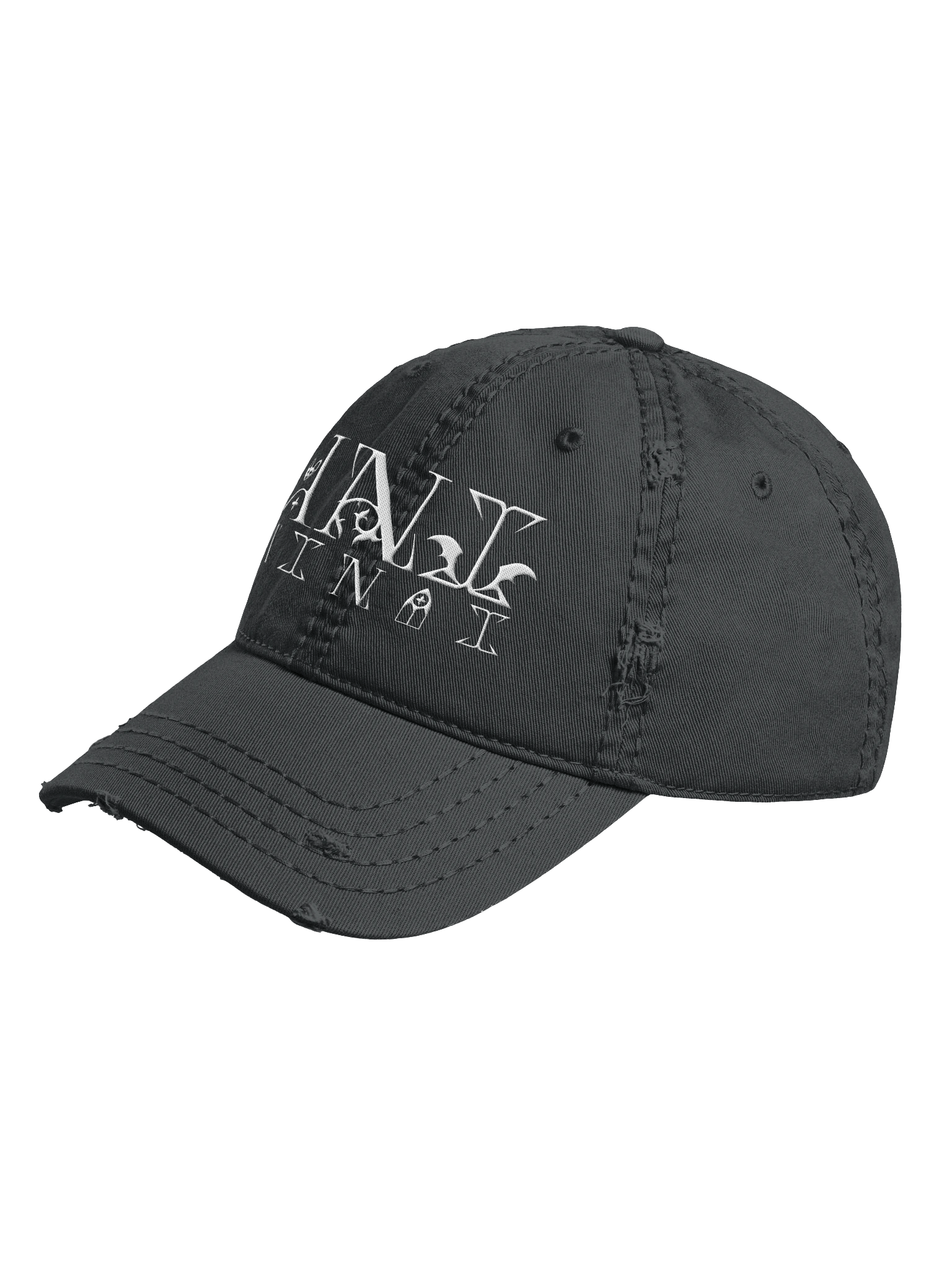 Embroidered Ani Logo Distressed Hat product image (5)