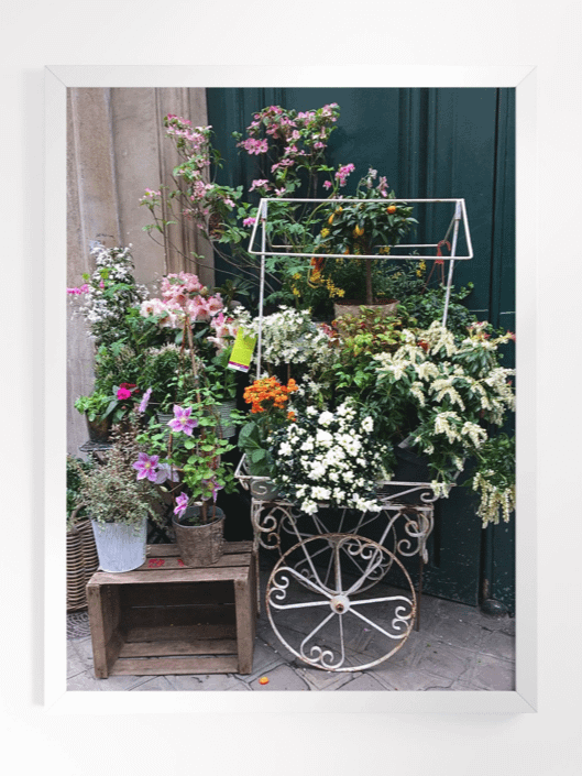 Paris Street Flower Shop product image (1)