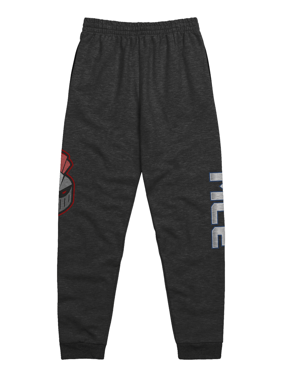 Knights Unisex Joggers product image (20)