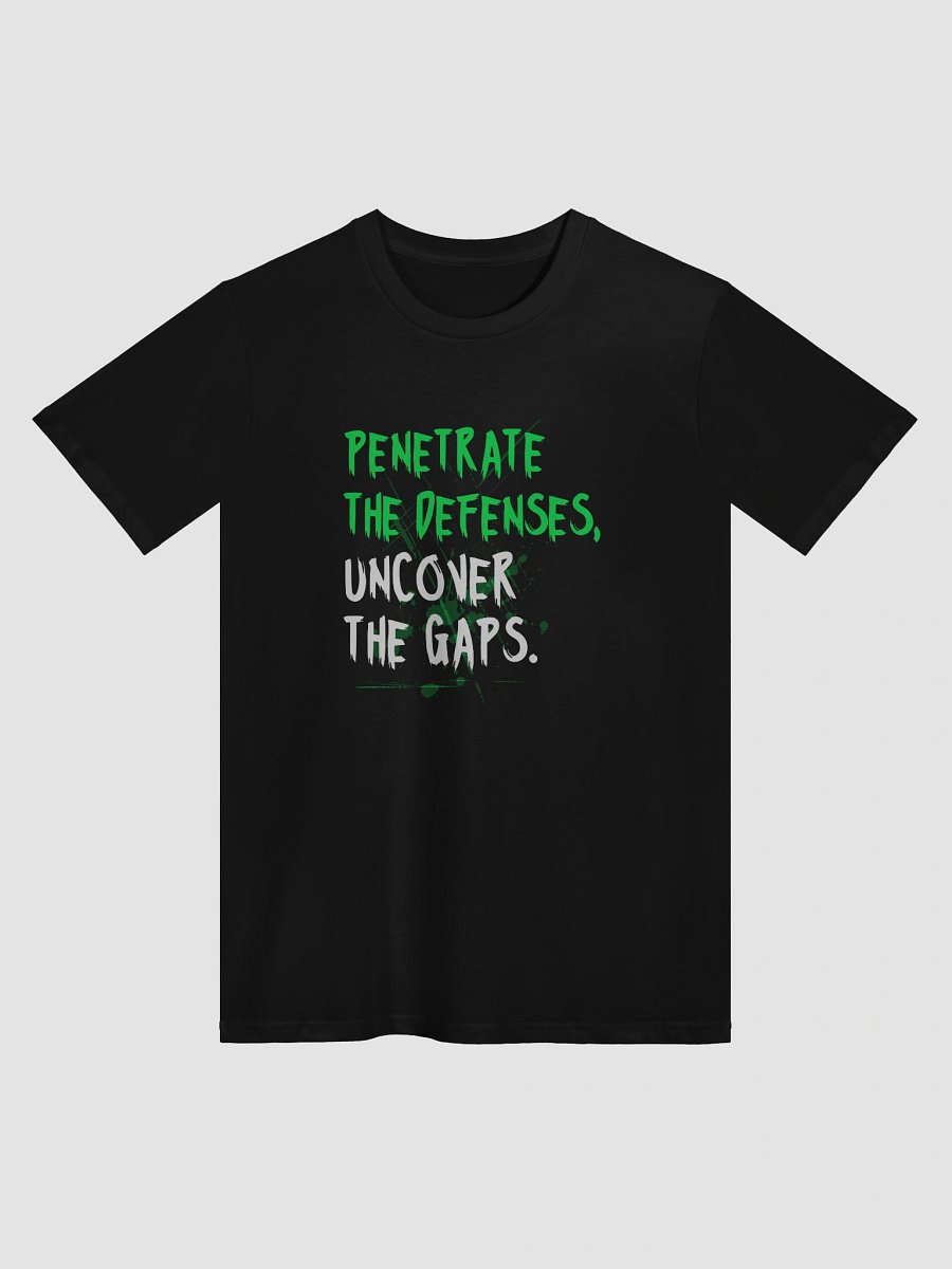 🛡️ Penetrate the Defenses, Uncover the Gaps product image (1)