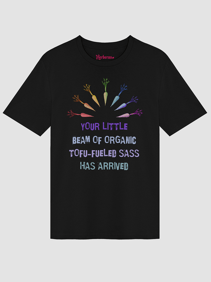 Rainbow Sassy Vegan Tee product image (1)