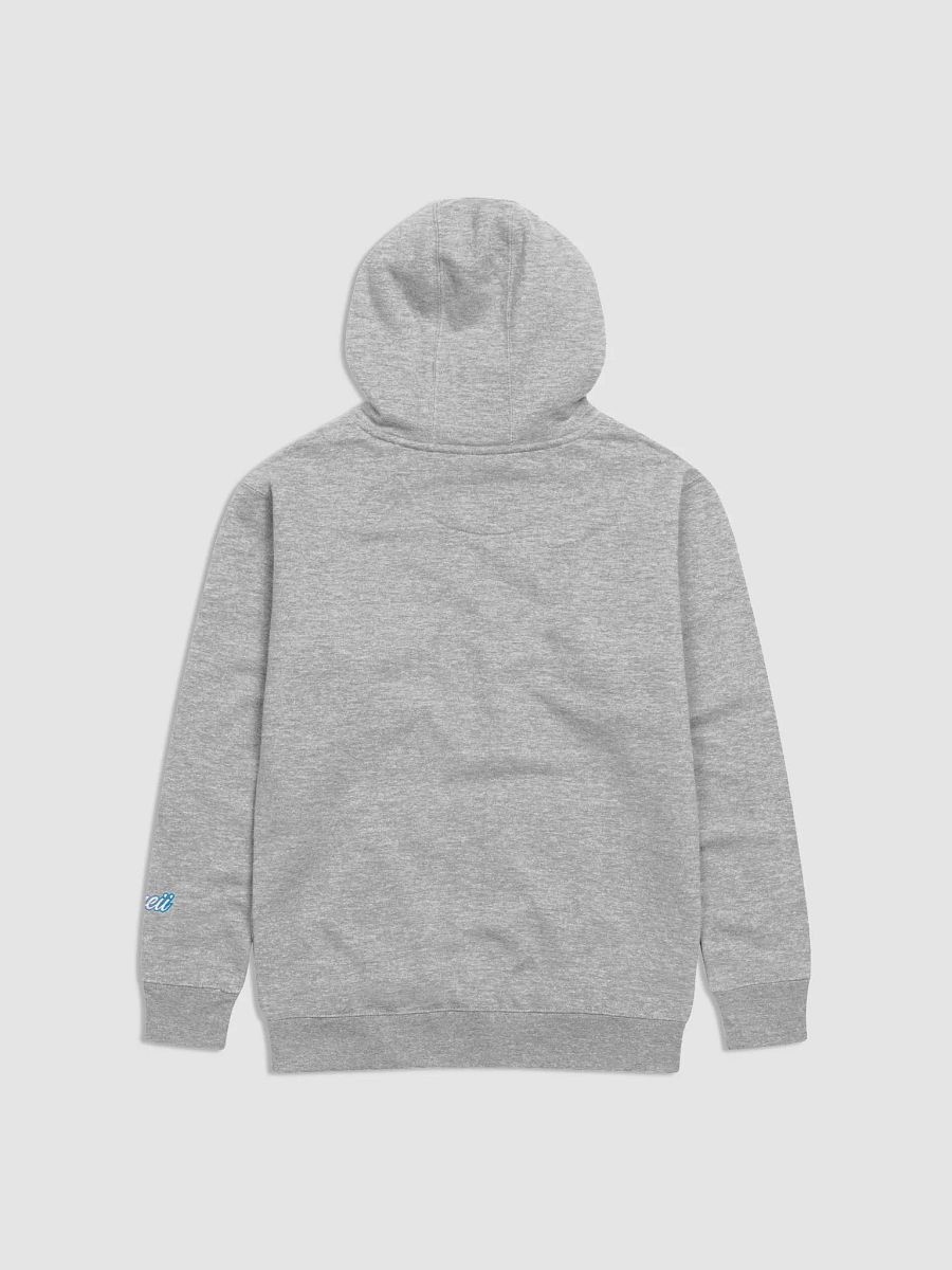 ''Amen'' Sweat à capuche premium unisexe product image (2)