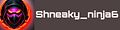 Shneaky_ninja6