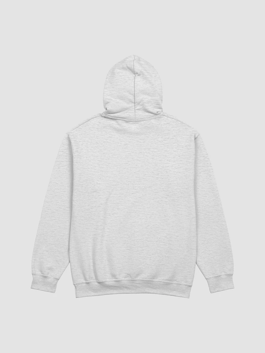 TTC Chill Classic Hoodie product image (3)