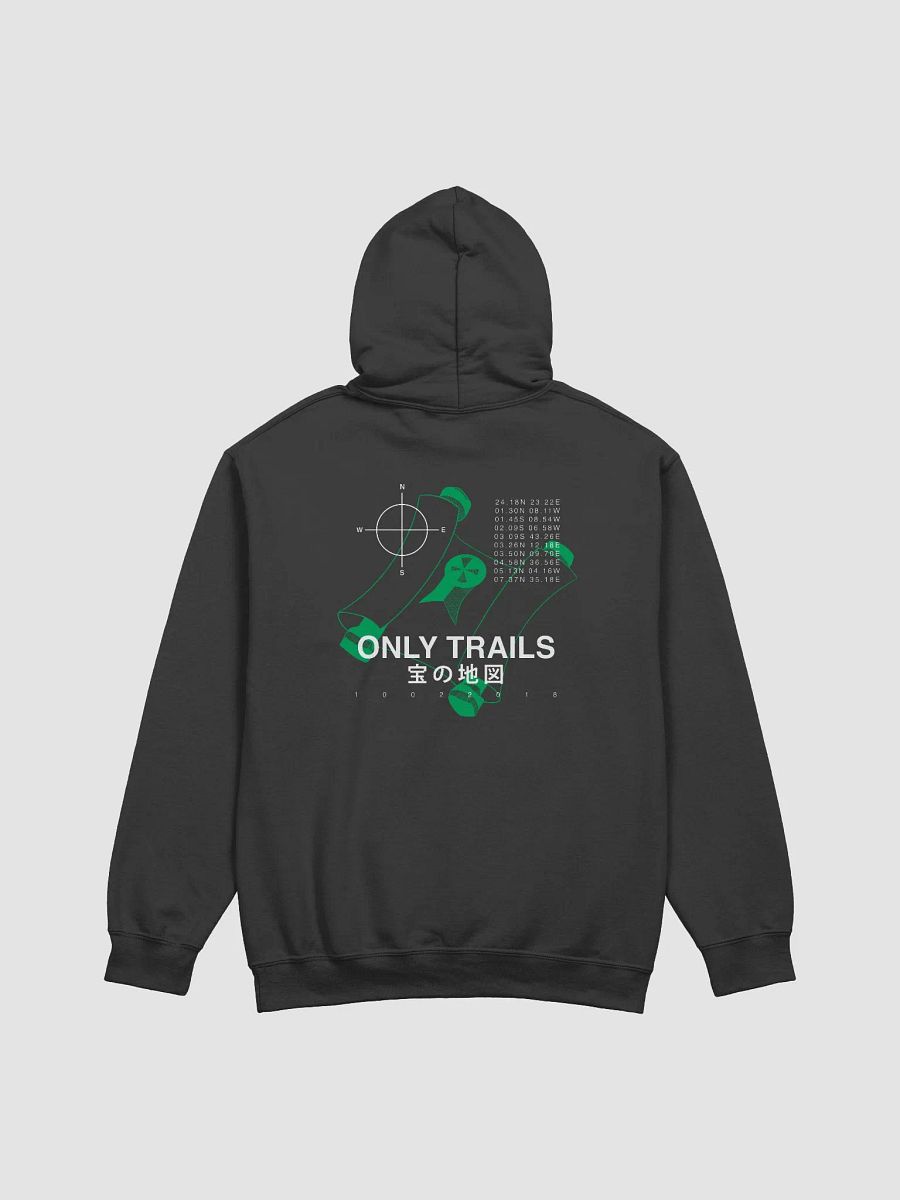 Backprint Coördinates - Hoodie (Green Clue) product image (1)