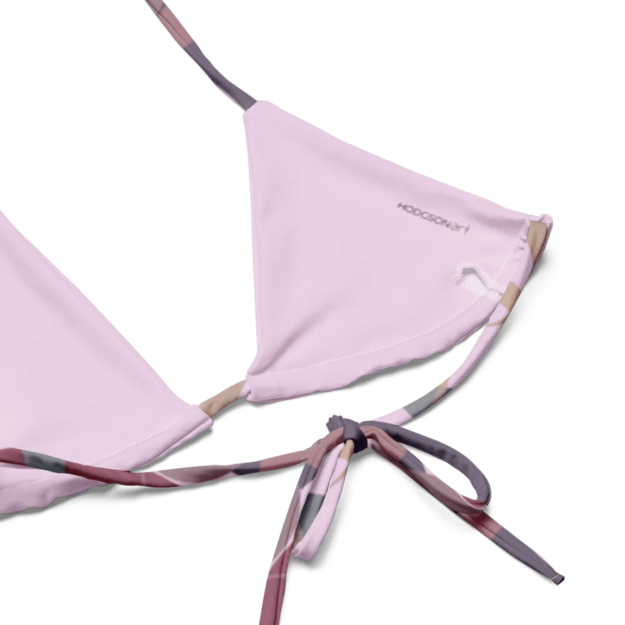 Half Moons 2 Piece String Bikini product image (6)