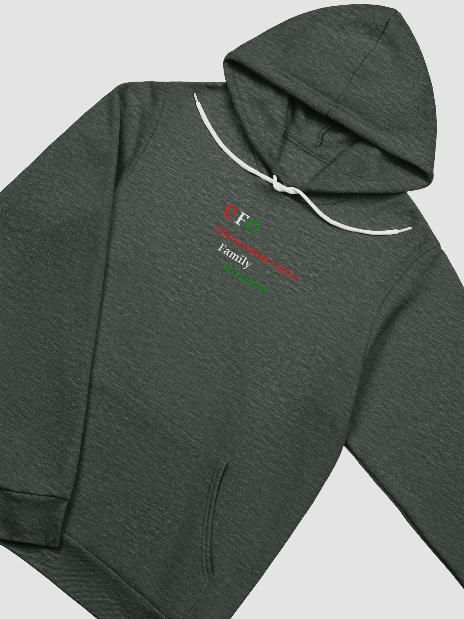 UFO Ultraconservative Family Oriented Hoodie product image (3)