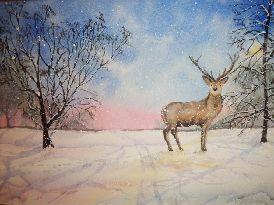 Deer In Snow Step By Step Worksheet product image (1)