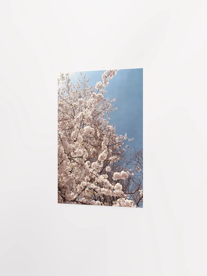 Primavera - Enhanced Matte Paper Poster product image (2)