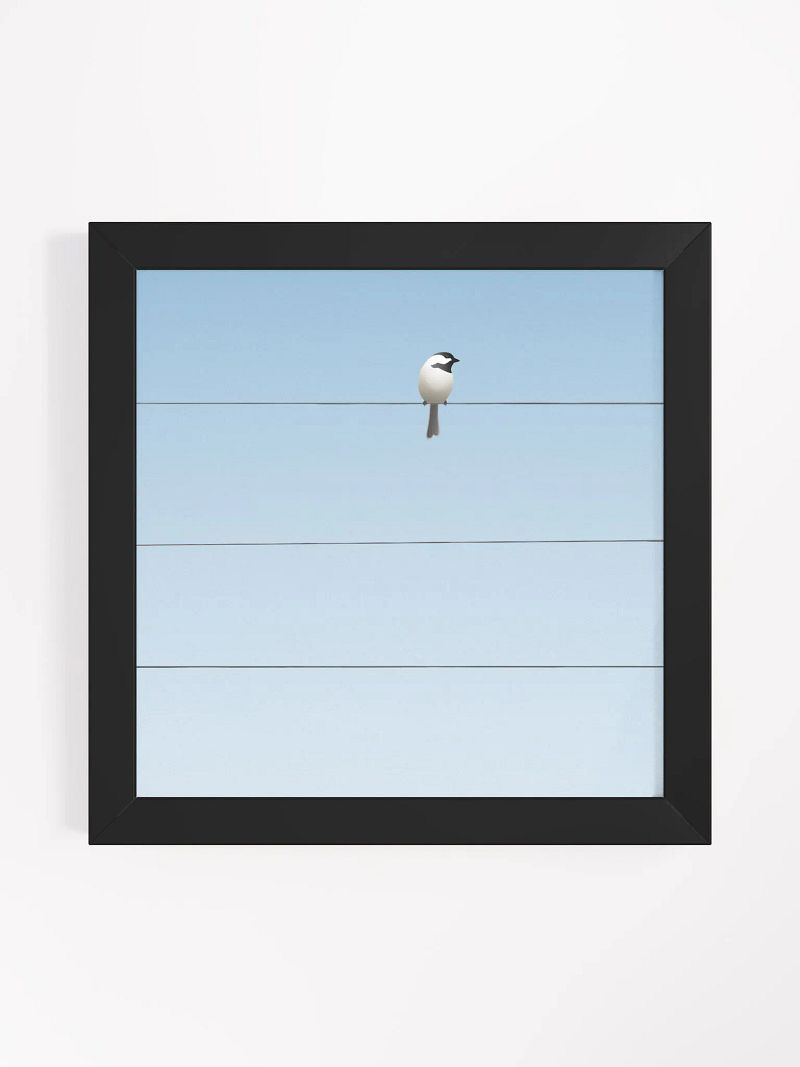 One Bird on a Wire