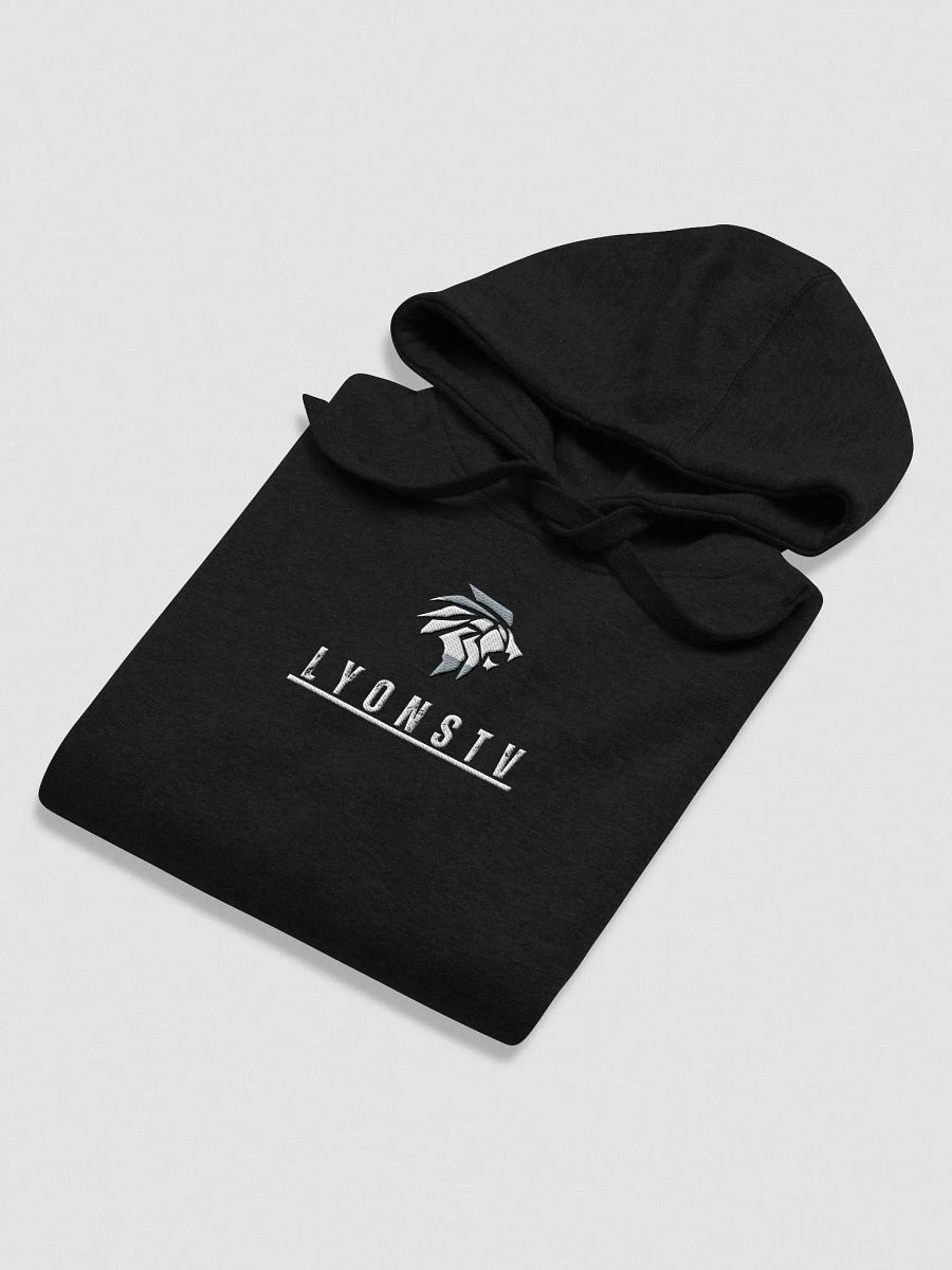 Embroidered Hoodie - Unisex product image (21)
