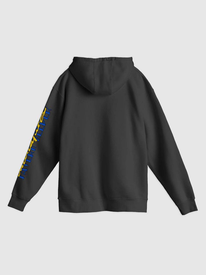 Tavern Keeper Miniatures Painter Exclusive Hoodie product image (11)