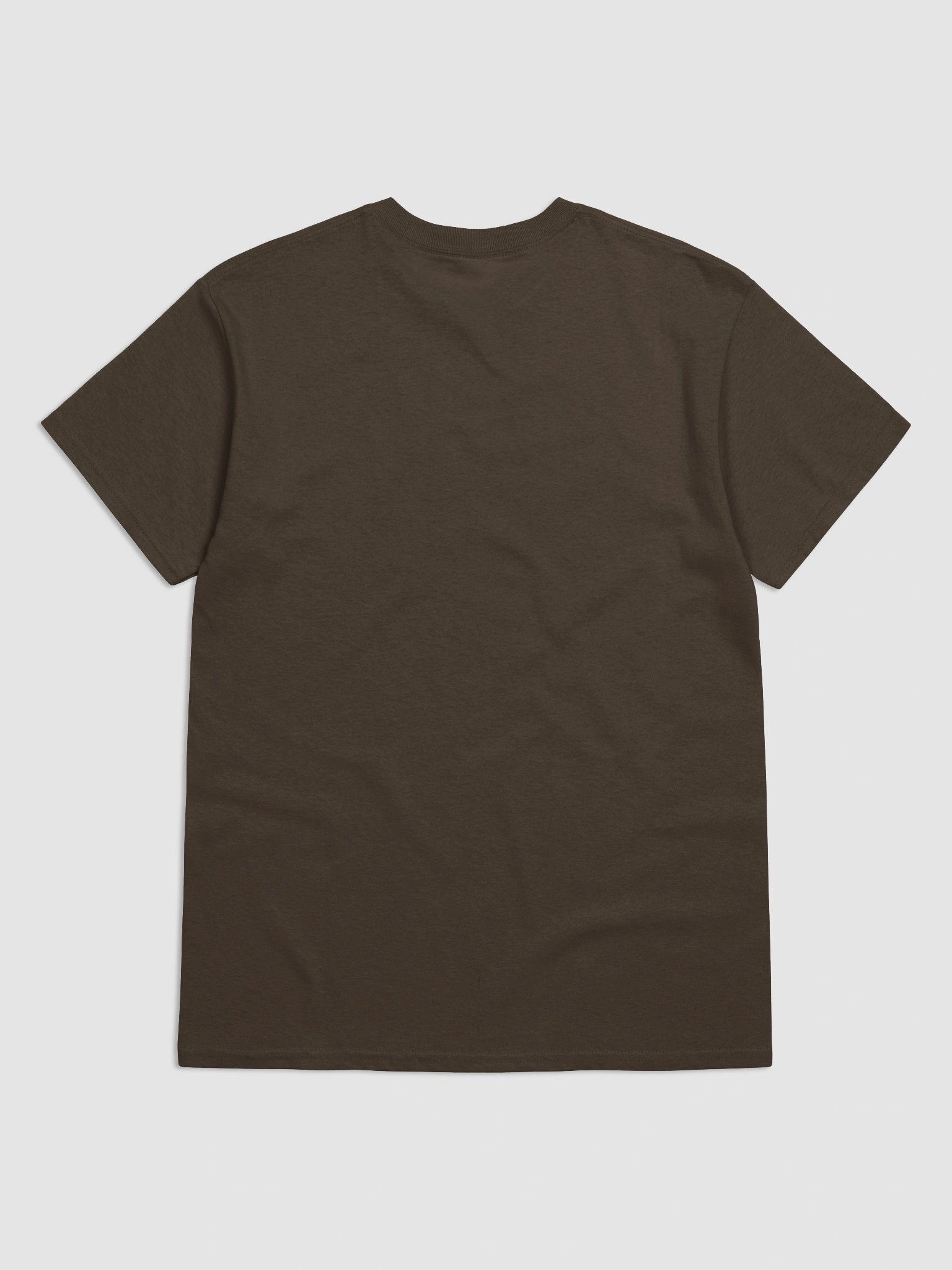 Of Mossy Ruins and Forest Paths T-shirt product image (22)
