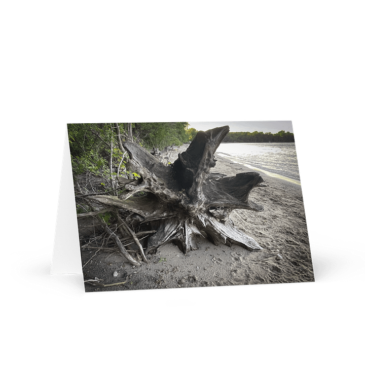 Rooted Serenity Greeting Card product image (1)