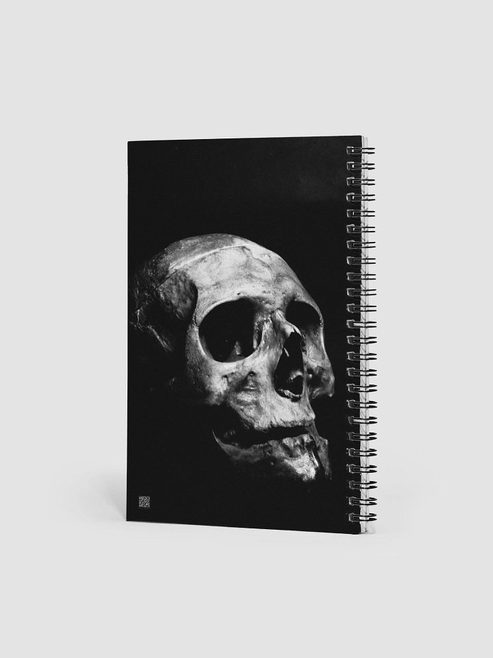 Ethereal Skull Spiral Notebook product image (2)