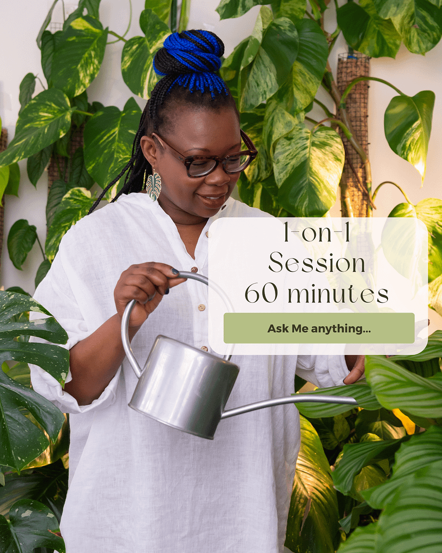 1-on-1 Session with The Leca Queen (60 minutes) product image (1)