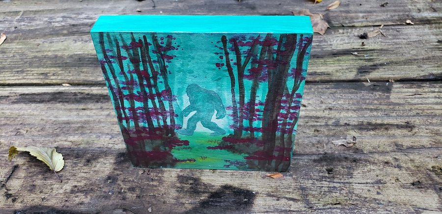 Hide and Seek Champion product image (2)