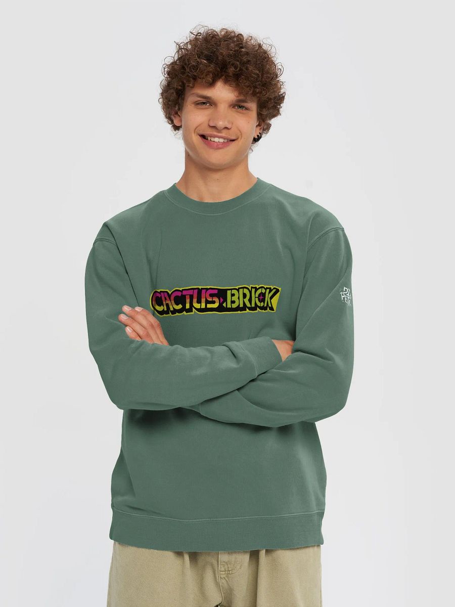 Cactus Brick (Sweater) - M Space product image (15)
