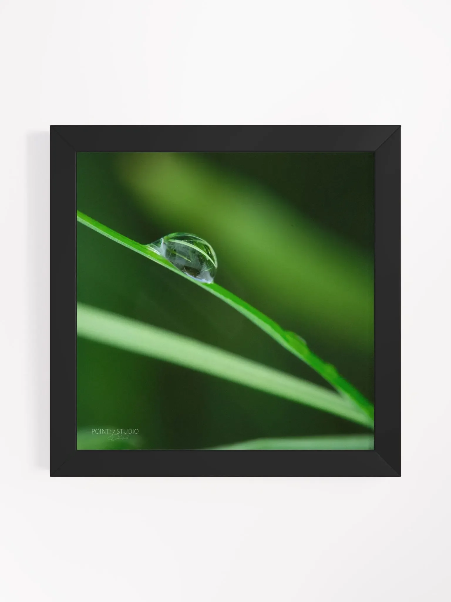 Dew Gems #6 - Framed Print product image (1)