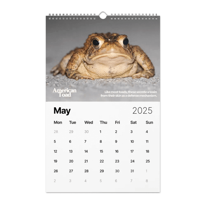 2025 In the Wild Wall Calendar product image (2)