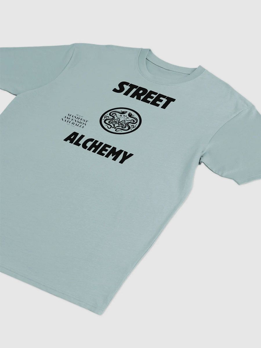 Street Alchemy Heavy Tee product image (7)