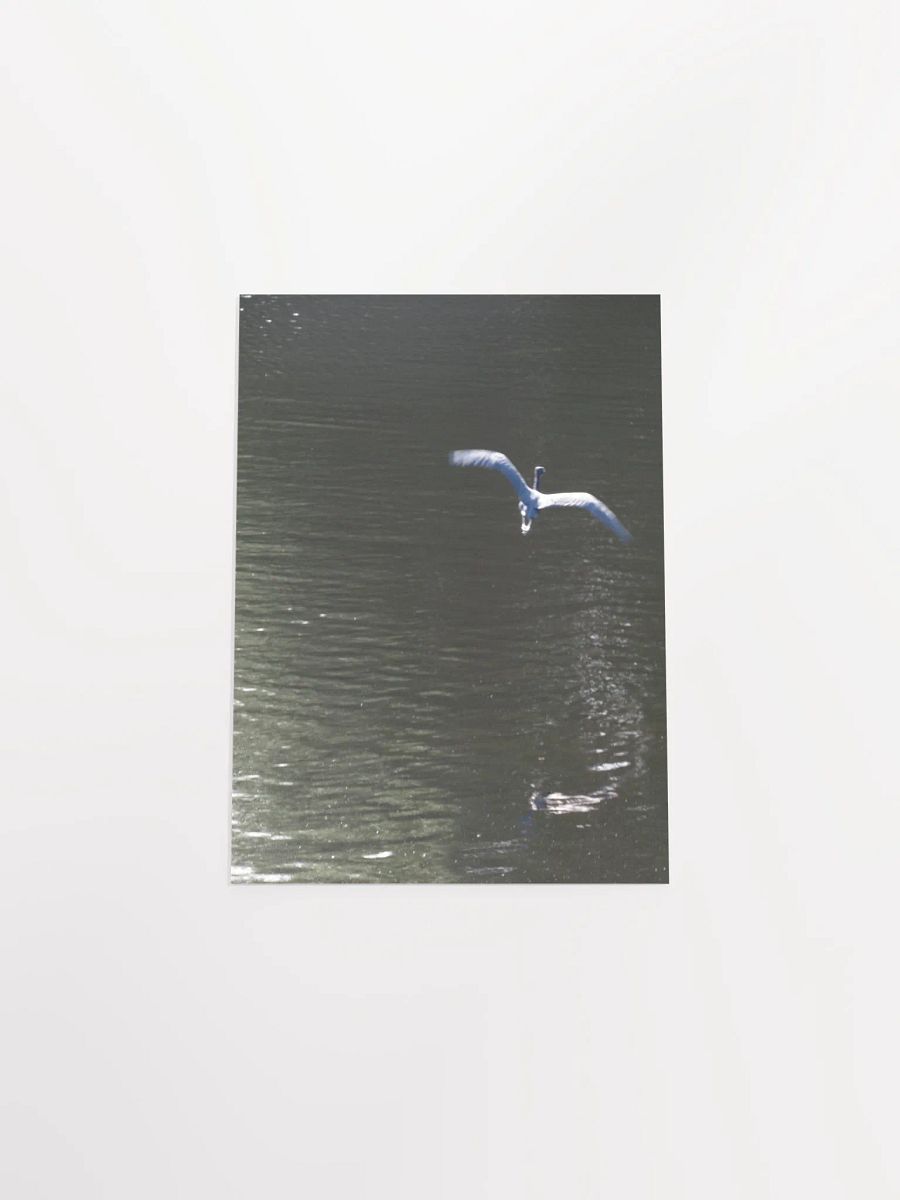 Flying Heron product image (52)