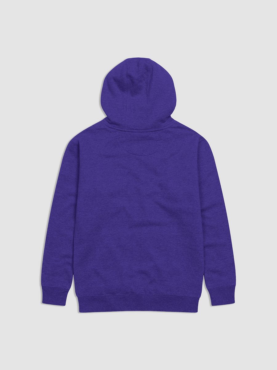 NvS Typography, State Hoodie product image (3)