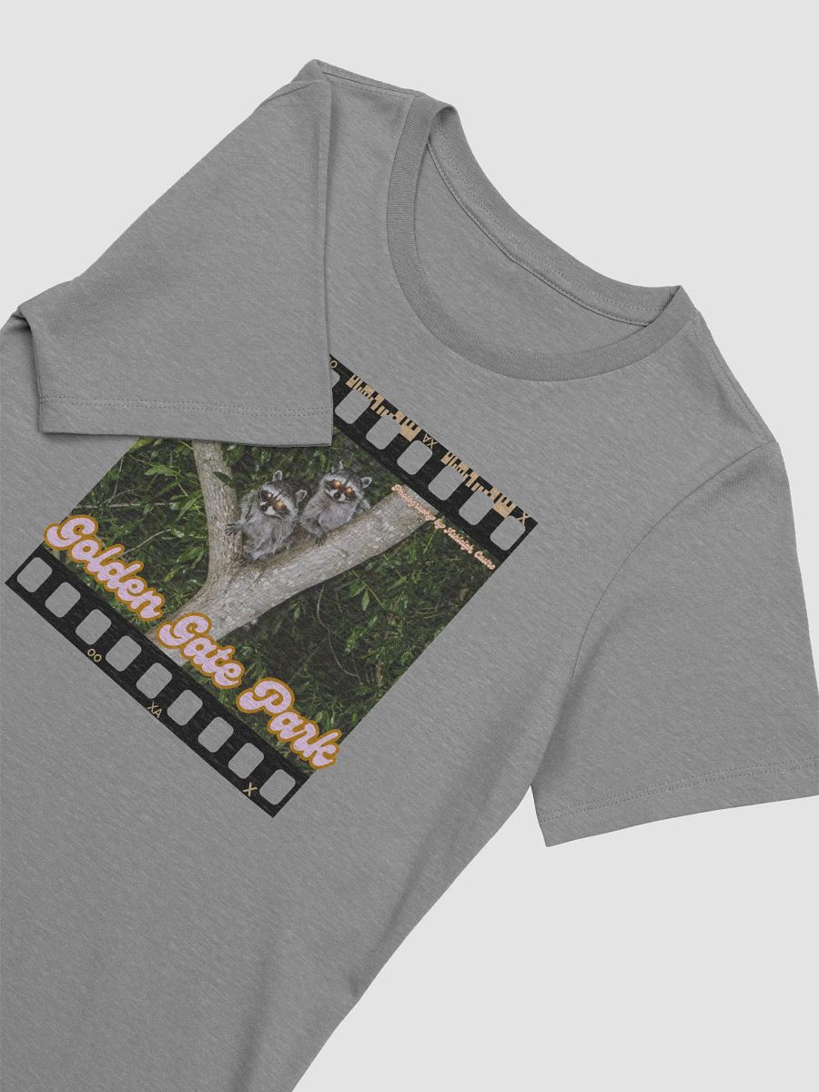 Golden Gate Park Raccoons Relaxed Fit T Shirt (Light Shades) product image (3)