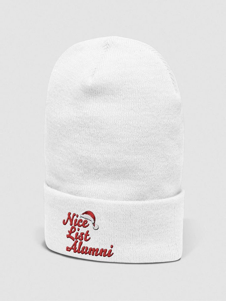 "Nice List Alumni: Nice by Nature, Alumni by Tradition" Bennie Hat product image (2)