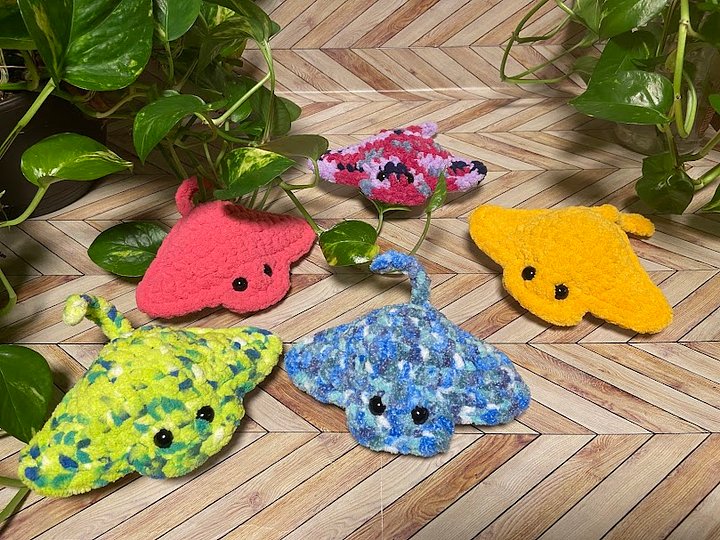 Manta Ray product image (1)