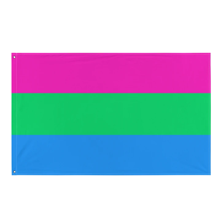 Polysexual Pride Flag product image (1)