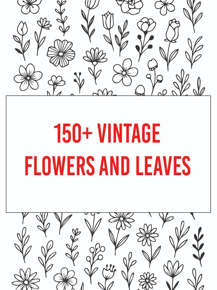 150+ Minimalist Botanical Flowers And Leaves Single Line Art for Download product image (1)