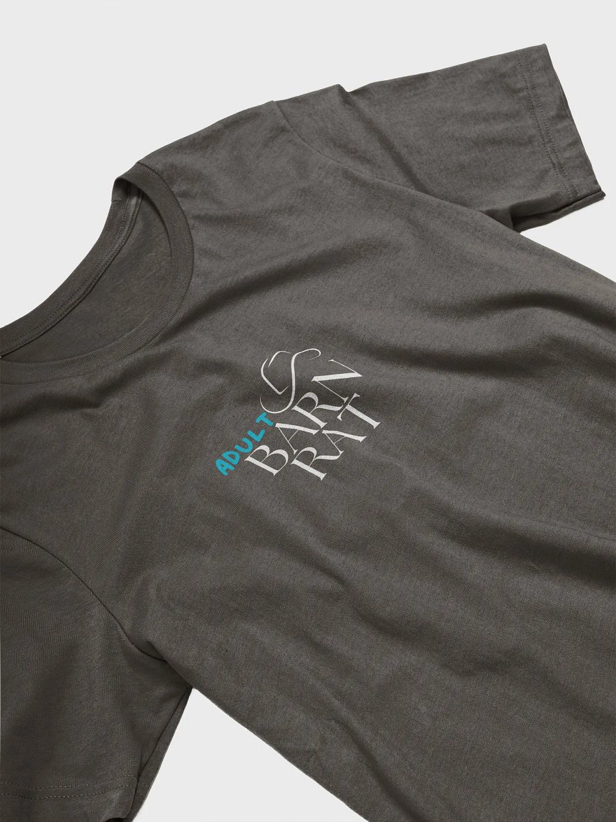 Adult Barn Rat T-Shirt product image (49)