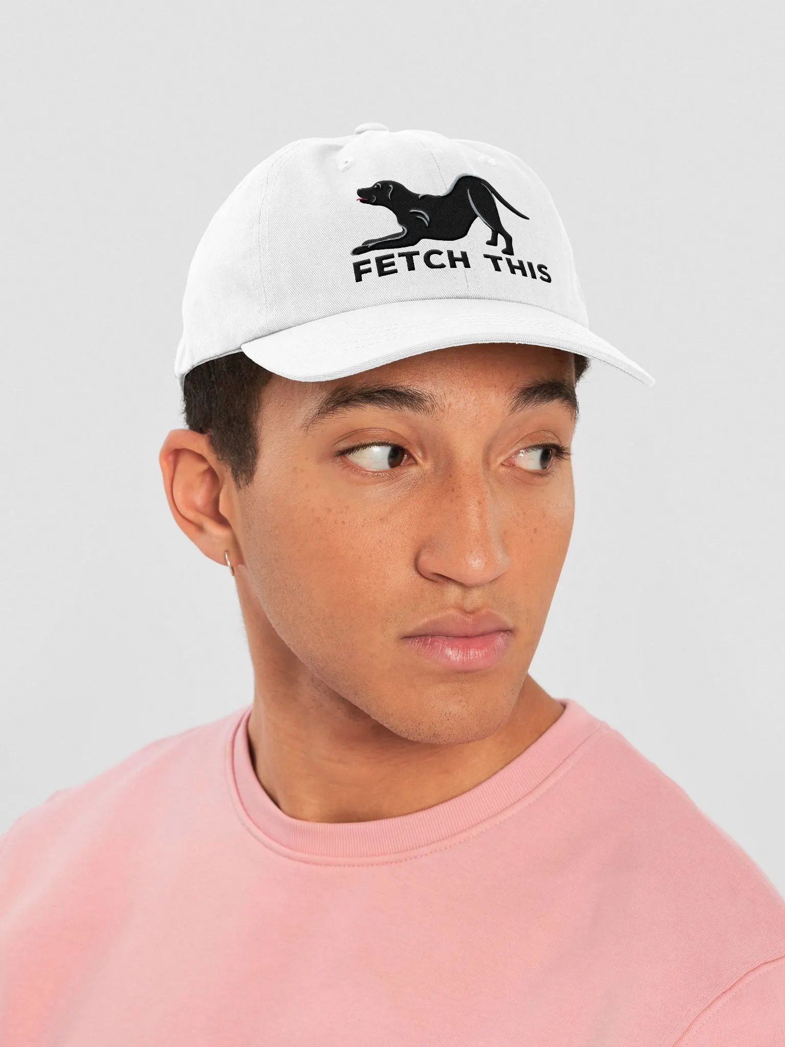 Fetch This Classic Dad Hat(Embroidered) of a Labrador Retriever(Black) product image (43)