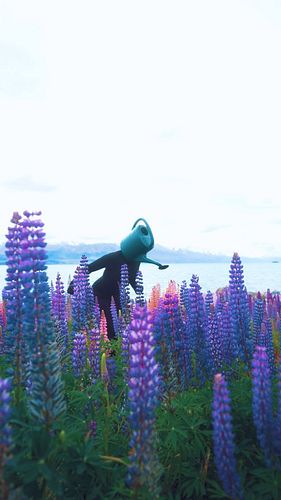 Lupin season is upon us in New Zealand
.
.
#weirdcore #fantasy #cursed #whimsical #nzphotographer #creativephotography #curse...