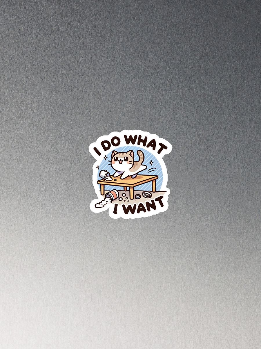 I do what I want magnet product image (1)