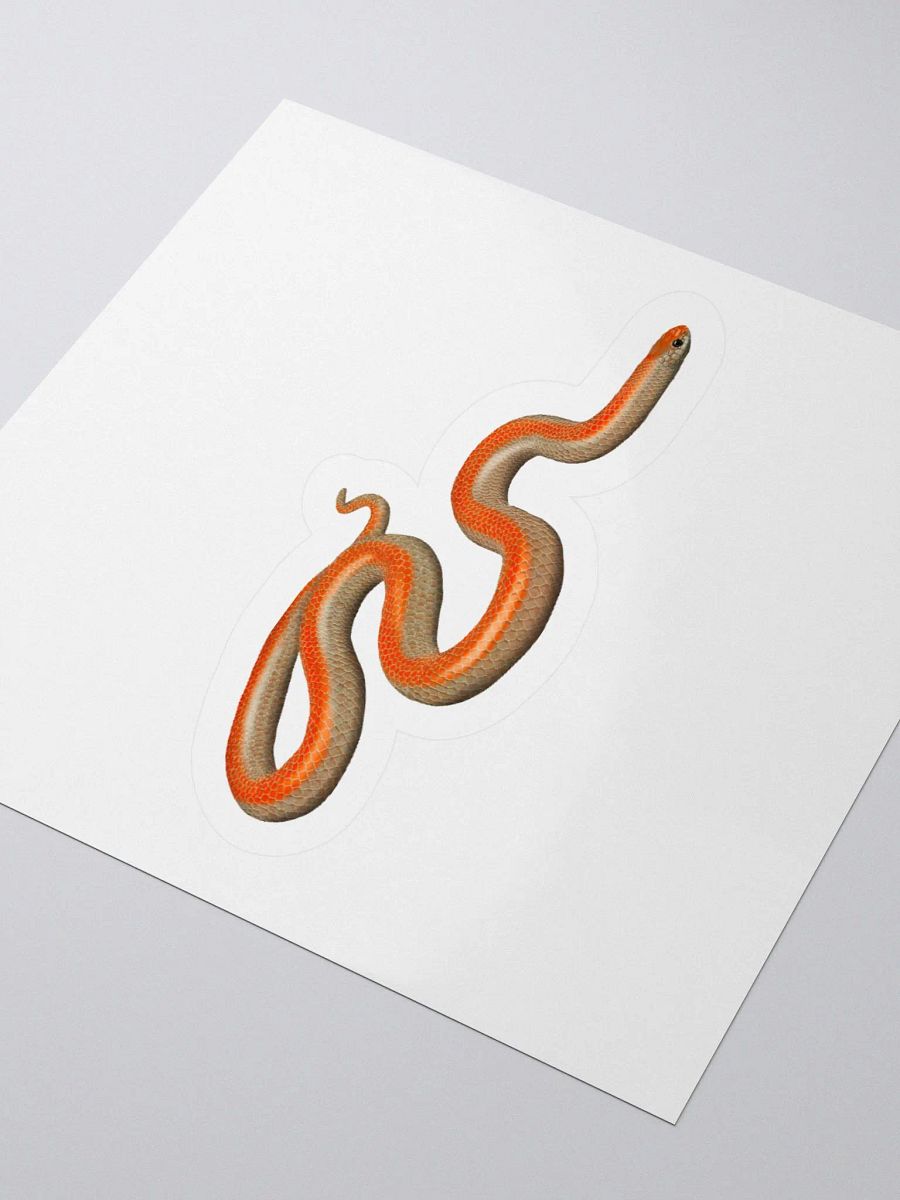 Die-Cut Sticker – Western Groundsnake (Striped) product image (3)