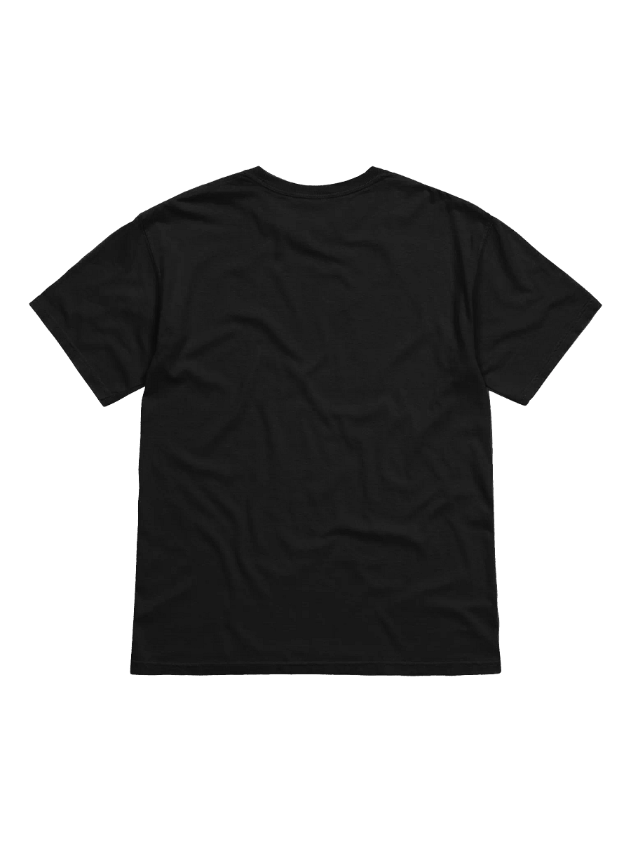 KING GIZZARD AND THE LIZARD WIZARD T-SHIRT (GILA) V2 product image (4)