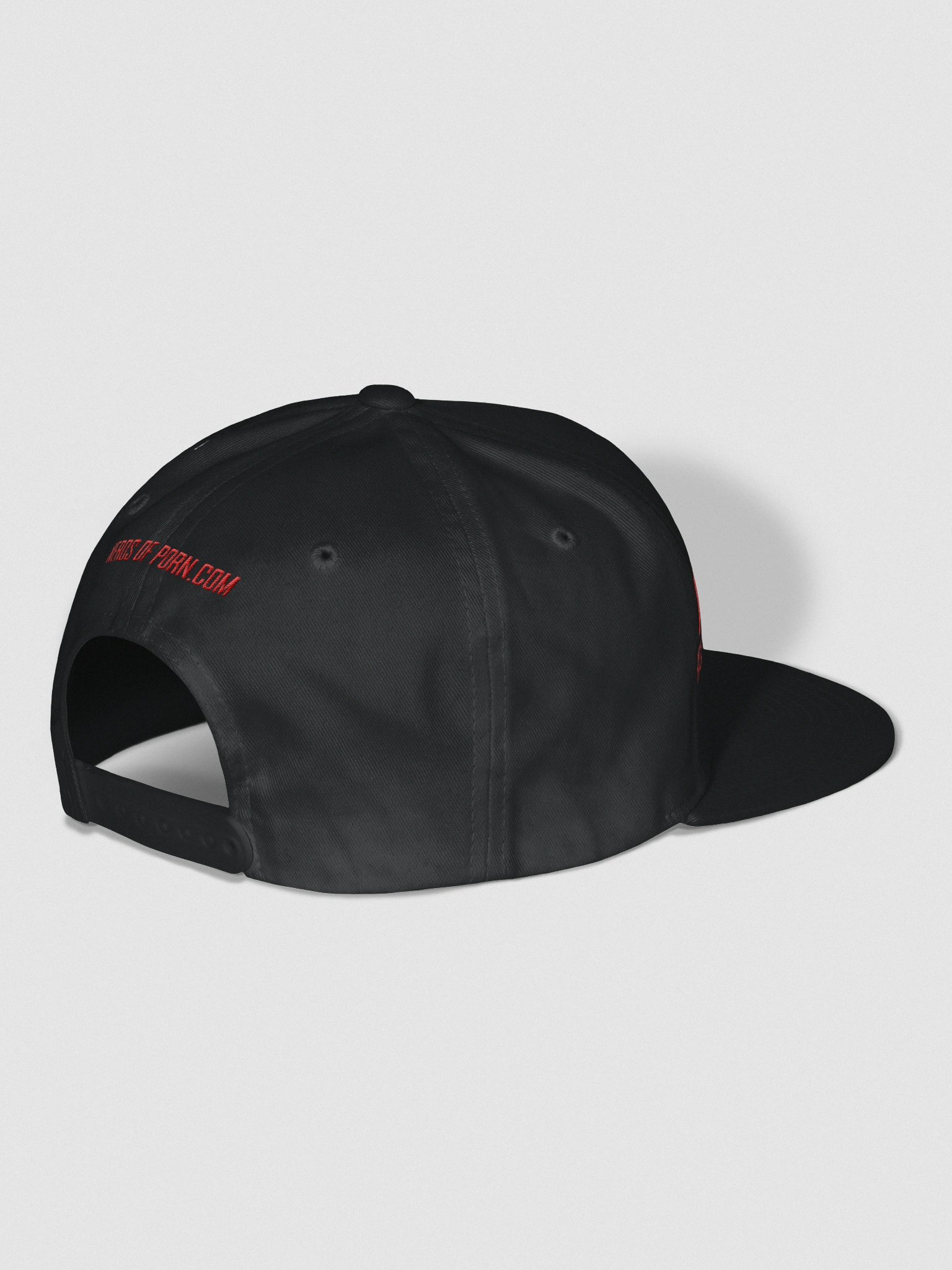 NOP Official Logo Lid (snapback) product image (2)