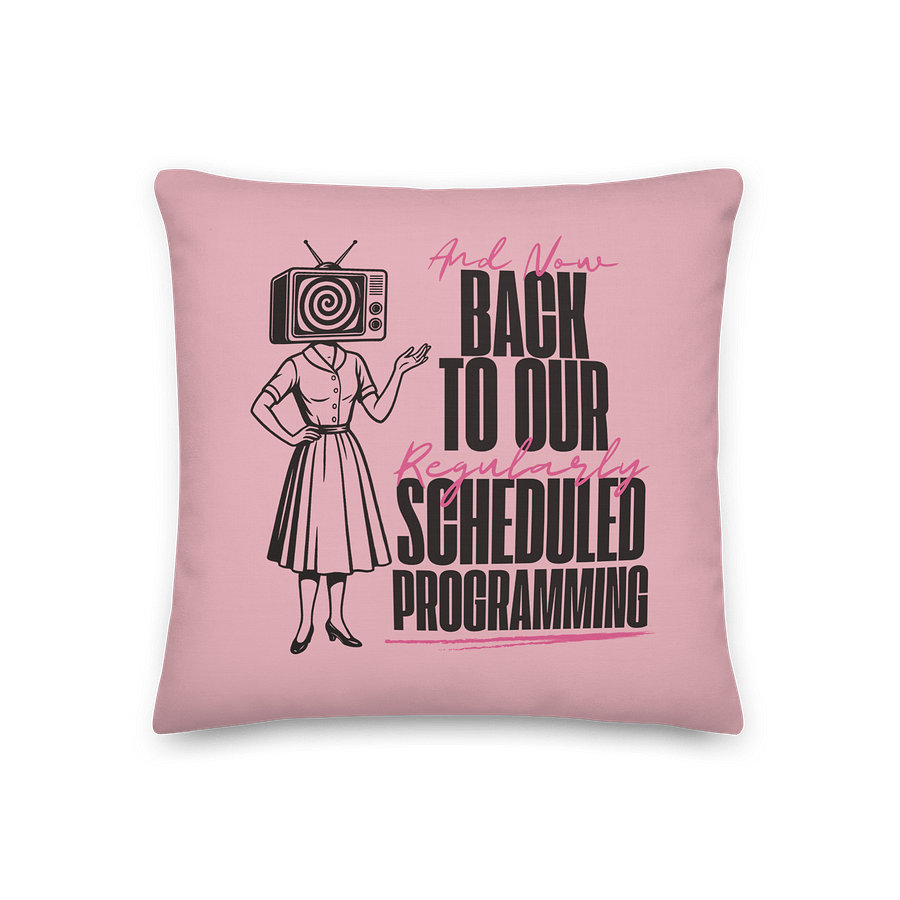 The Programming: Decorative Pillow product image (1)