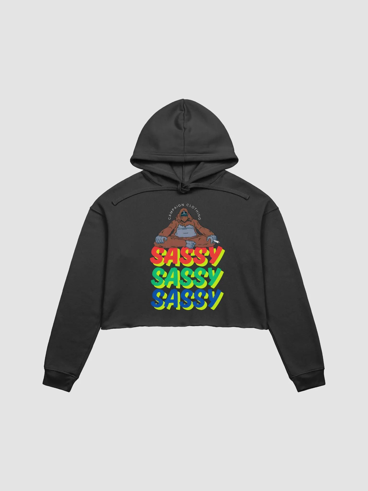 [Stoner's Haven'] Sassy Crop Top Hoodie product image (4)