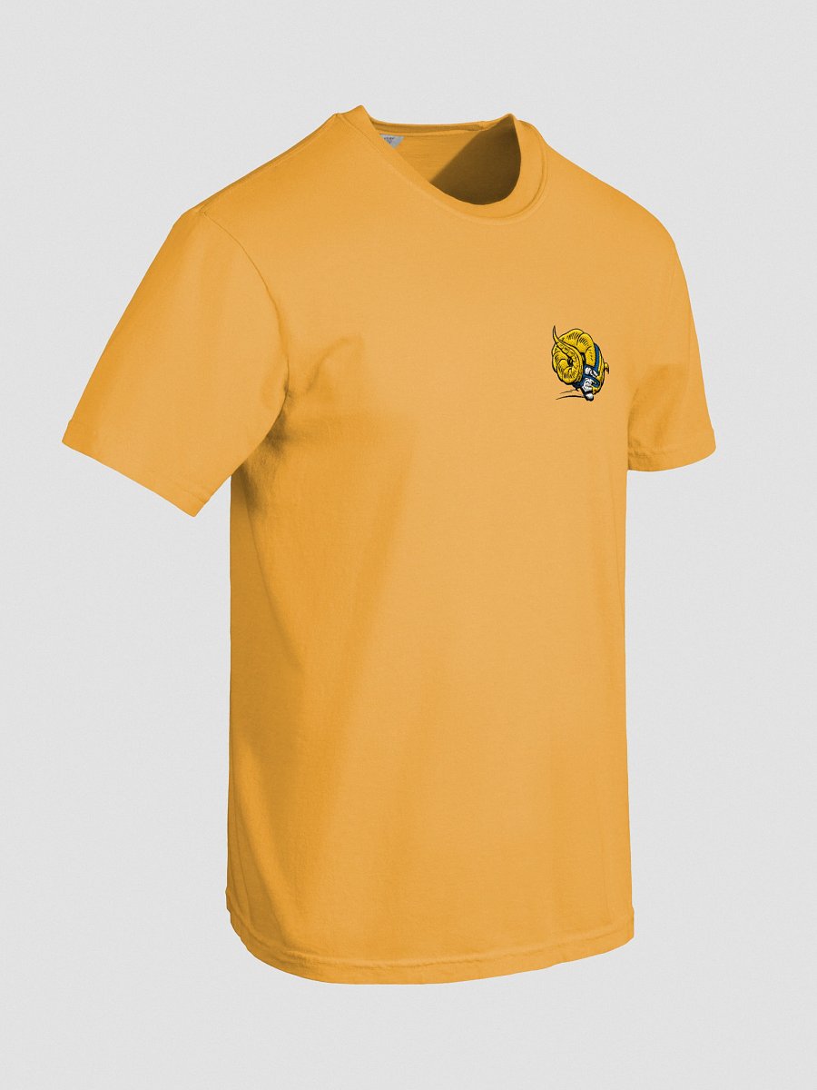 GRB EMBROIDERED TEE product image (8)