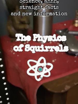 #squirrel #animals #love #science #educational #physics #research 