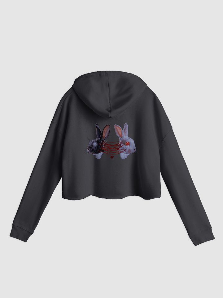 Bound Cropped Hoodie product image (1)