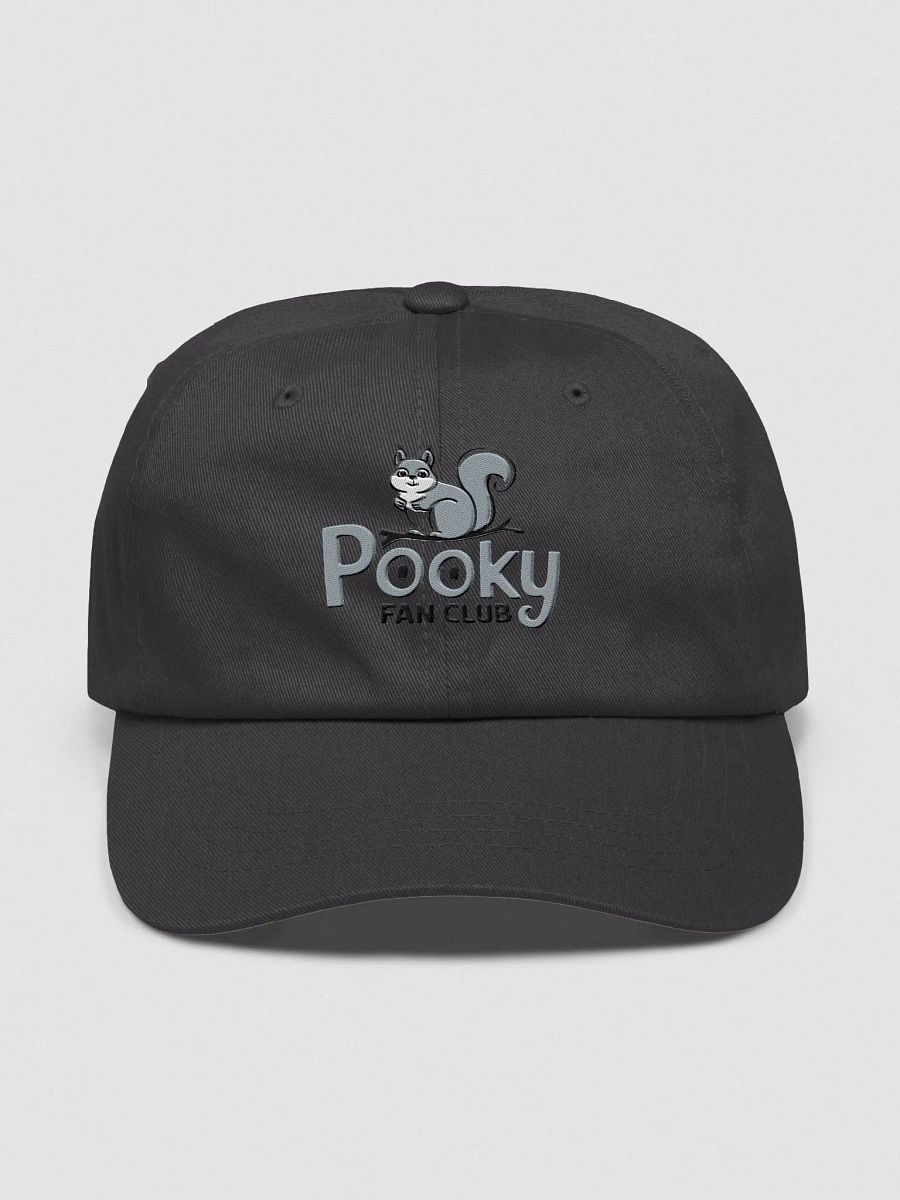 Baseball Hat Embroidered: Pooky Fan club, grey pooky product image (1)