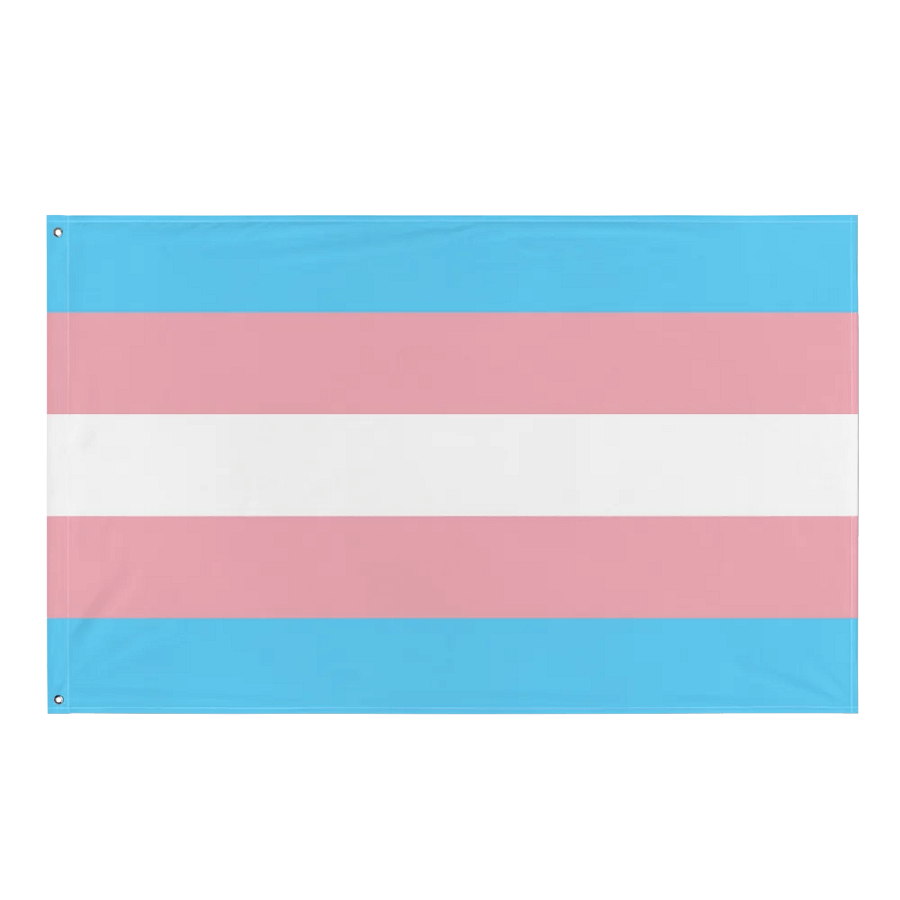 Trans Pride Flag product image (1)