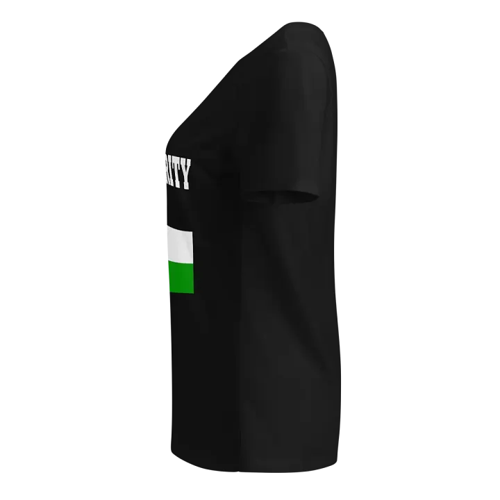 Solidarity Flag Fitted V-Neck T-Shirt product image (2)