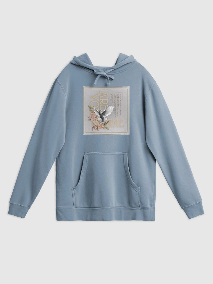 Isaiah 43 Hoodie product image (1)