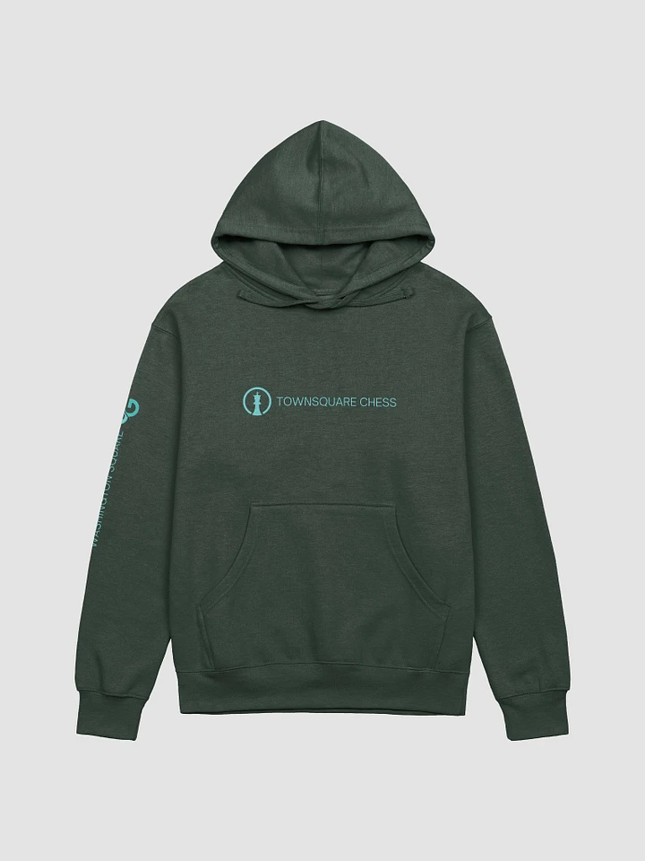 TownSquare Hoodie (Dark) | Wash Square Limited Edition product image (1)